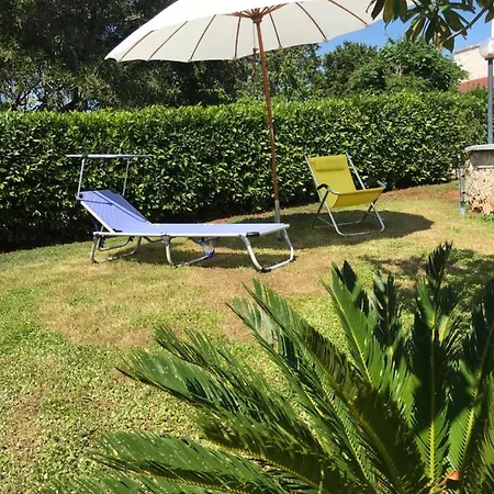 Vacanze A Сasa de vacaciones